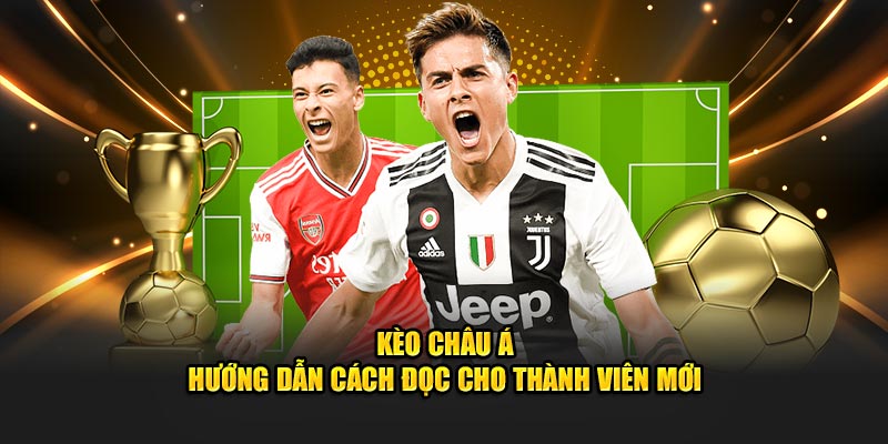 Kèo châu á mu88 hướng dẫn đọc kèo